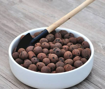 Hydroponic Clay Pebbles： An ideal matrix that balances stability and breathability