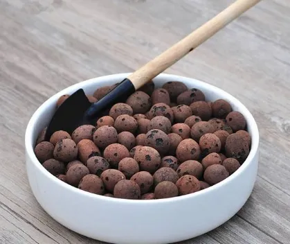 Hydronic Clay Pebbles: Ushering In A New Era Of Soilless Cultivation