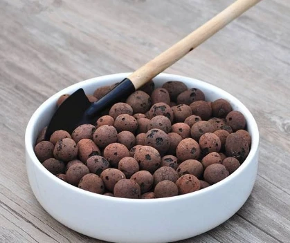 Hydronic Clay Pebbles: Ushering In A New Era Of Soilless Cultivation