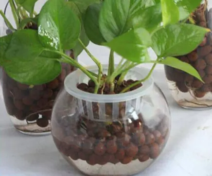 Hydroponic Clay Pebbles
