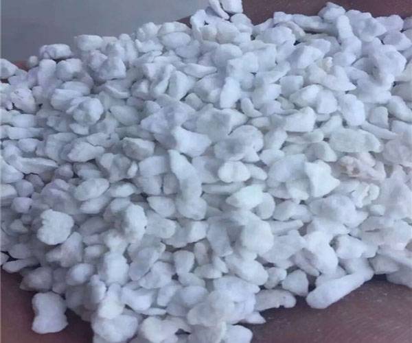 Expanded Perlite for Horticulture: Boost Growth & Aeration