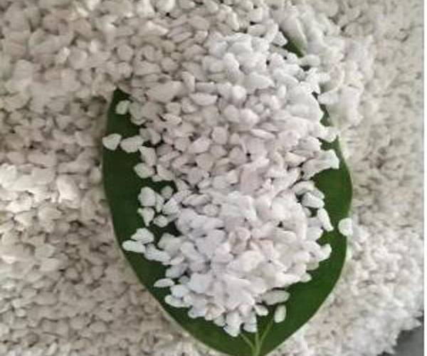 Expanded Perlite for Horticulture: Boost Growth & Aeration