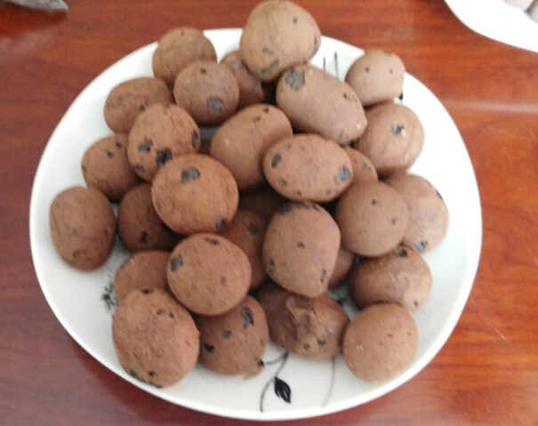 Agriculture Hydroponics LECA Clay Pebbles | Reusable, Clean