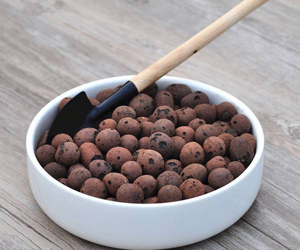 Expanded Clay Pebbles as plants growing media