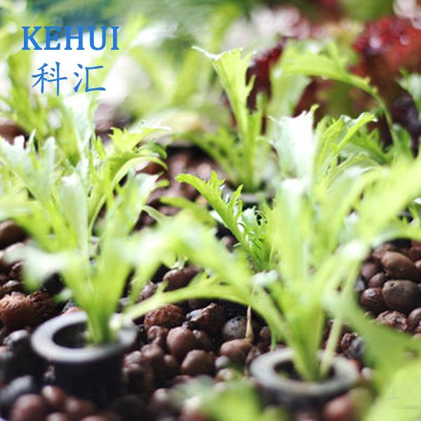 8-16mm Gardening Growing Medium LECA Clay Pebbles for Hydroponics