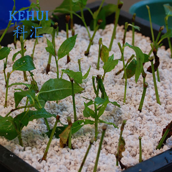 Optimal 3-6mm Expanded Perlite for Superior Gardening Growth