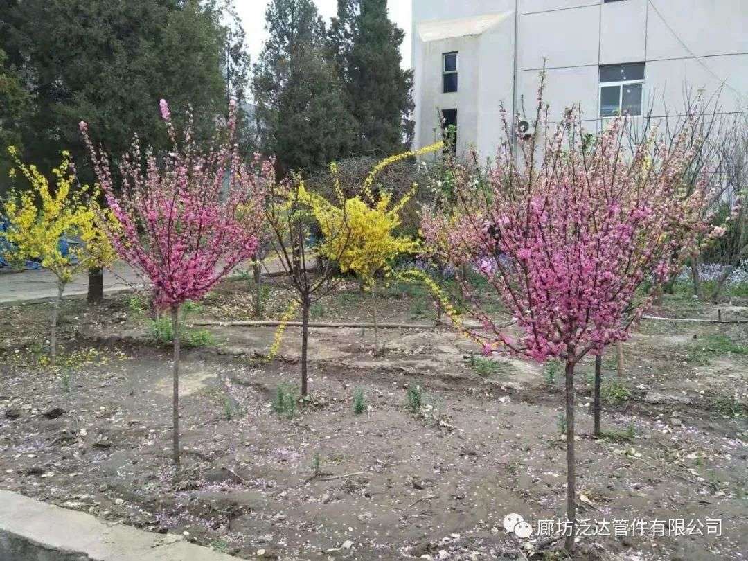 A touch of red in March  -Safety Management in daily life