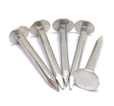 A Complete Guide to Common Nails