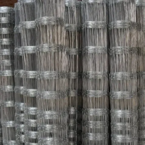 Robust Security Solutions for Every Need