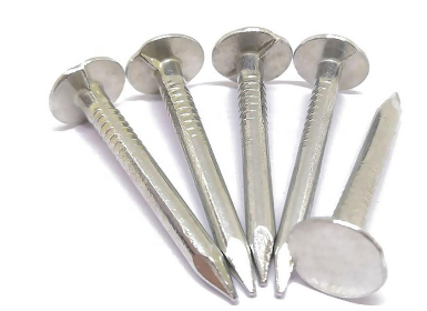 Reliable Common Nails Supplier for Practical Construction