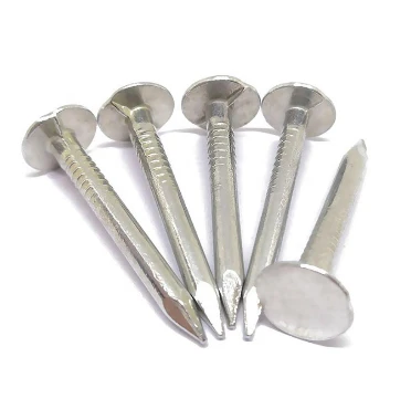 On Common Nails: The Great Contribution of Humble Objects