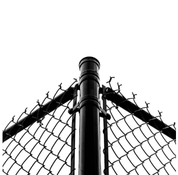Metal Fencing Solutions for Every Need