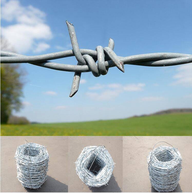 Double Twist Barbed Wire - Anping County Cheng Chuang Metal Products Co., Ltd.|Security Solutions, Corrosion Resistance