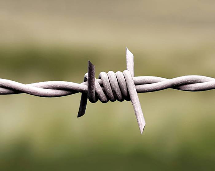 Double Twist Barbed Wire - Anping County Cheng Chuang Metal Products Co., Ltd.|Security Solutions, Corrosion Resistance