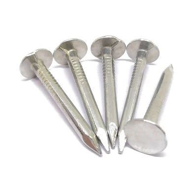 Guide to Common Types of Nails