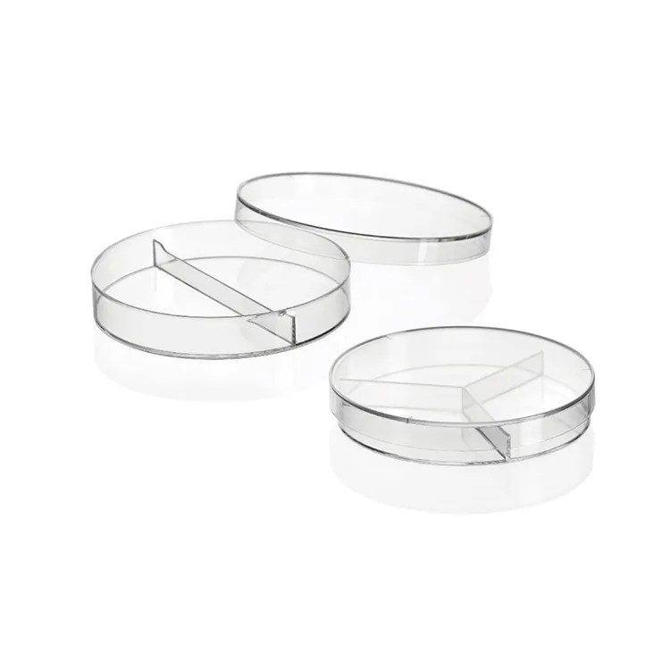 Explore the Best Petri Dishes for Your Laboratory Needs