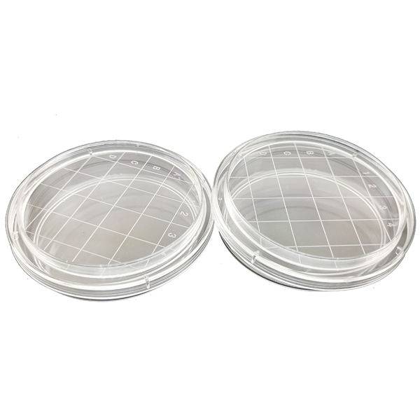 https://images.exportstart.com/images/a1324/auto/orientmedicare-petri-dish-.webp