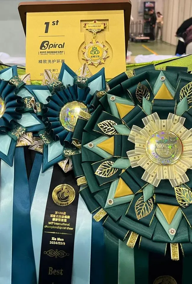 Badges: The Power of Personalization and Symbolism