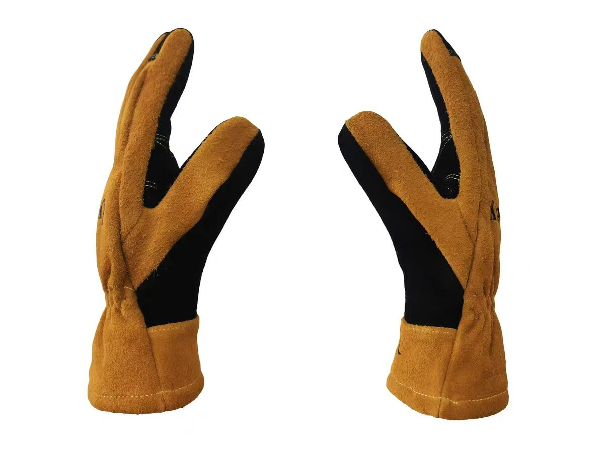 The Genius Gift released a new series of labor insurance products, leading the industry innovation.