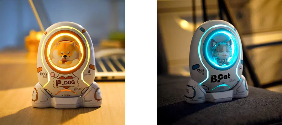 Customized Power Bank