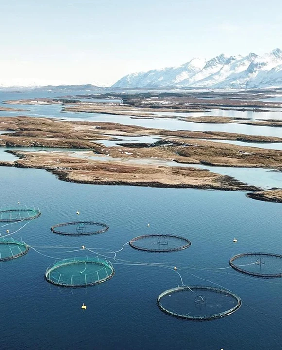 Aquaculture