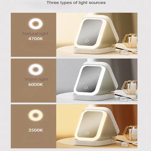 Portable Storage Makeup Mirror | Travel-Friendly LED & Organizer