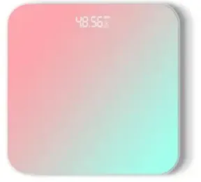 Are Expensive Bathroom Scales Worth the Investment