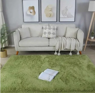 Carpet for Bedroom Floor with Antimicrobial Treatment