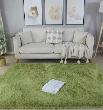 Vintage Decor Paired with a Green Shag Rug