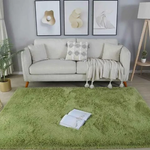 Unveiling the Allure of Green Shag Rugs