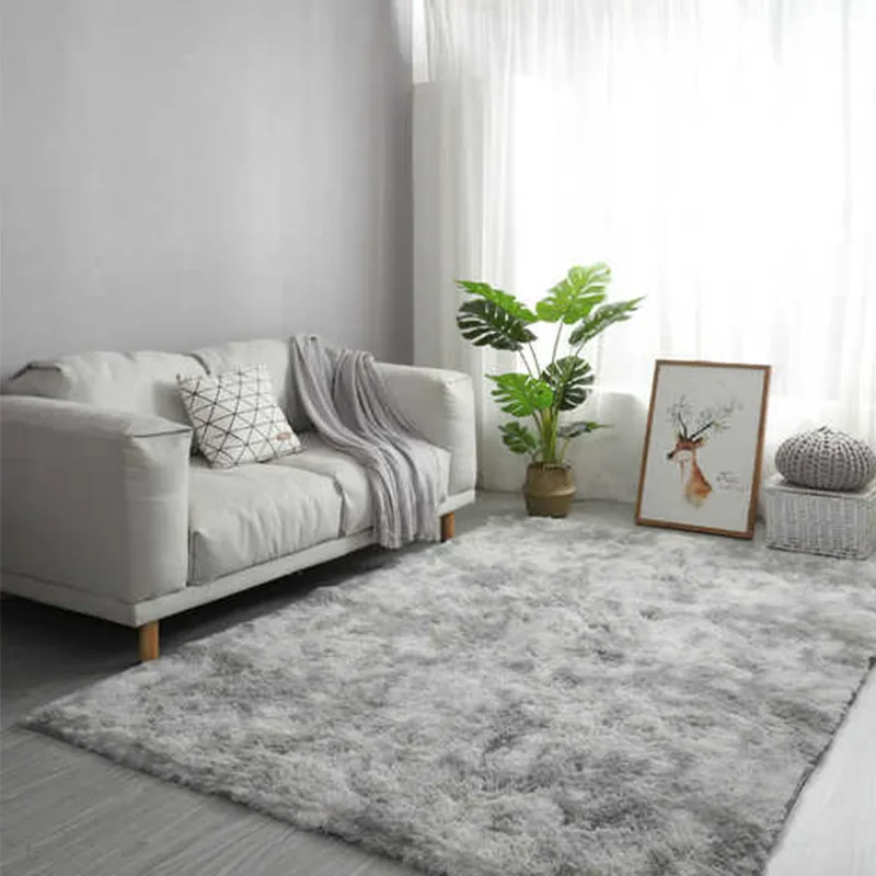 Shaggy Rainbow Rug | Fluffy & Vibrant Home Decor