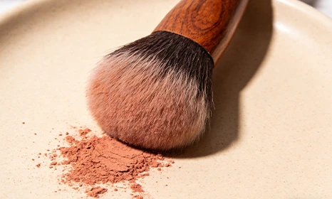 Radiant Looks Achieved with Lansky Beauty Blush Brush Expertise