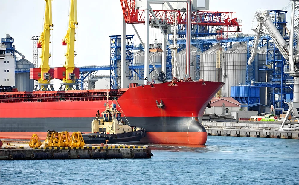 stainless steel check valves manufacturers