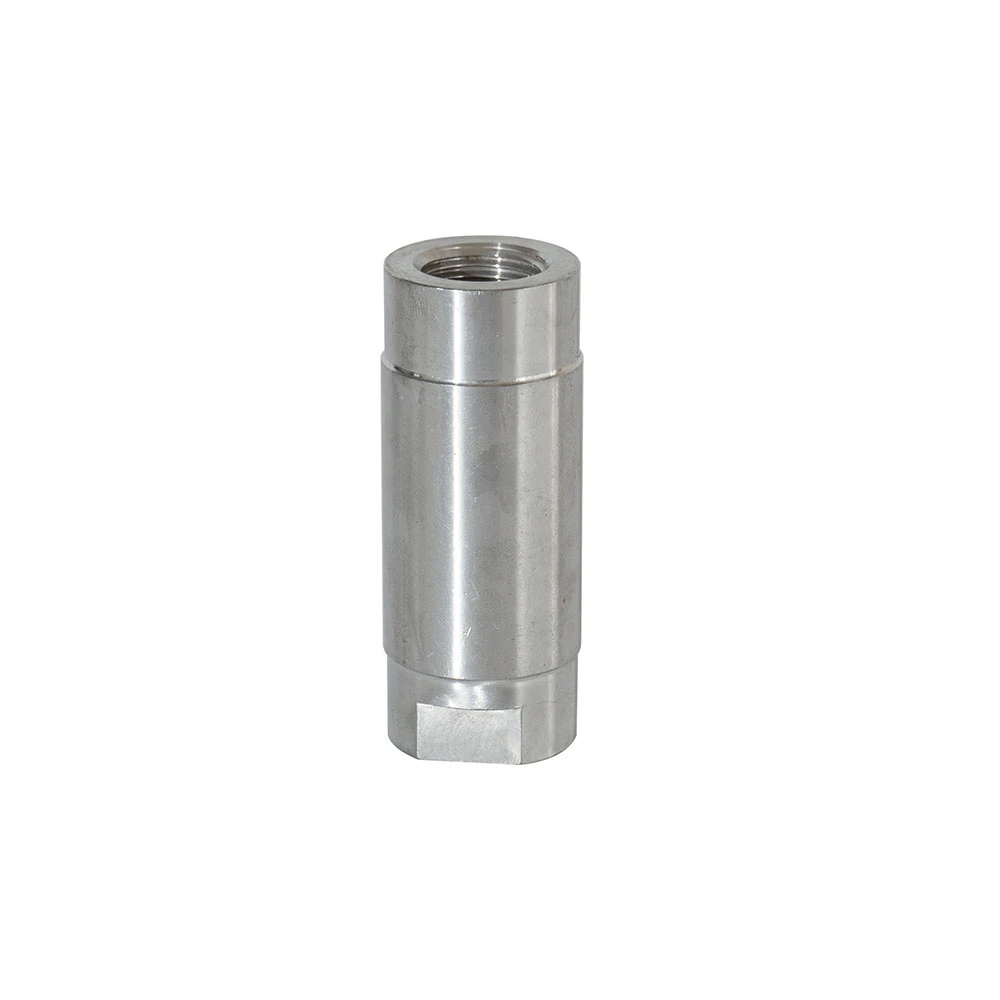 1 PC Spring Vertical Check Valve