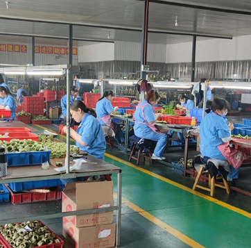 Using Ball Valves in High-Pressure Pastry Dough Extrusion