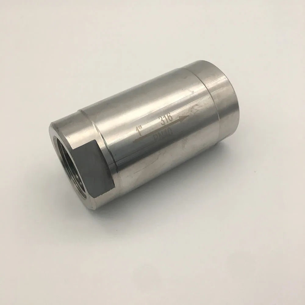 Efficient 1 Spring Check Valve | Prevent Backflow Reliably