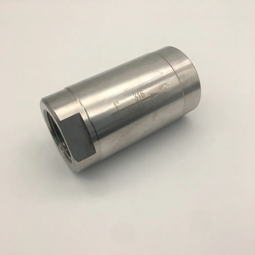 Efficient 1 Spring Check Valve | Prevent Backflow Reliably