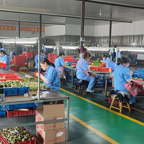 ss ball valve supplier