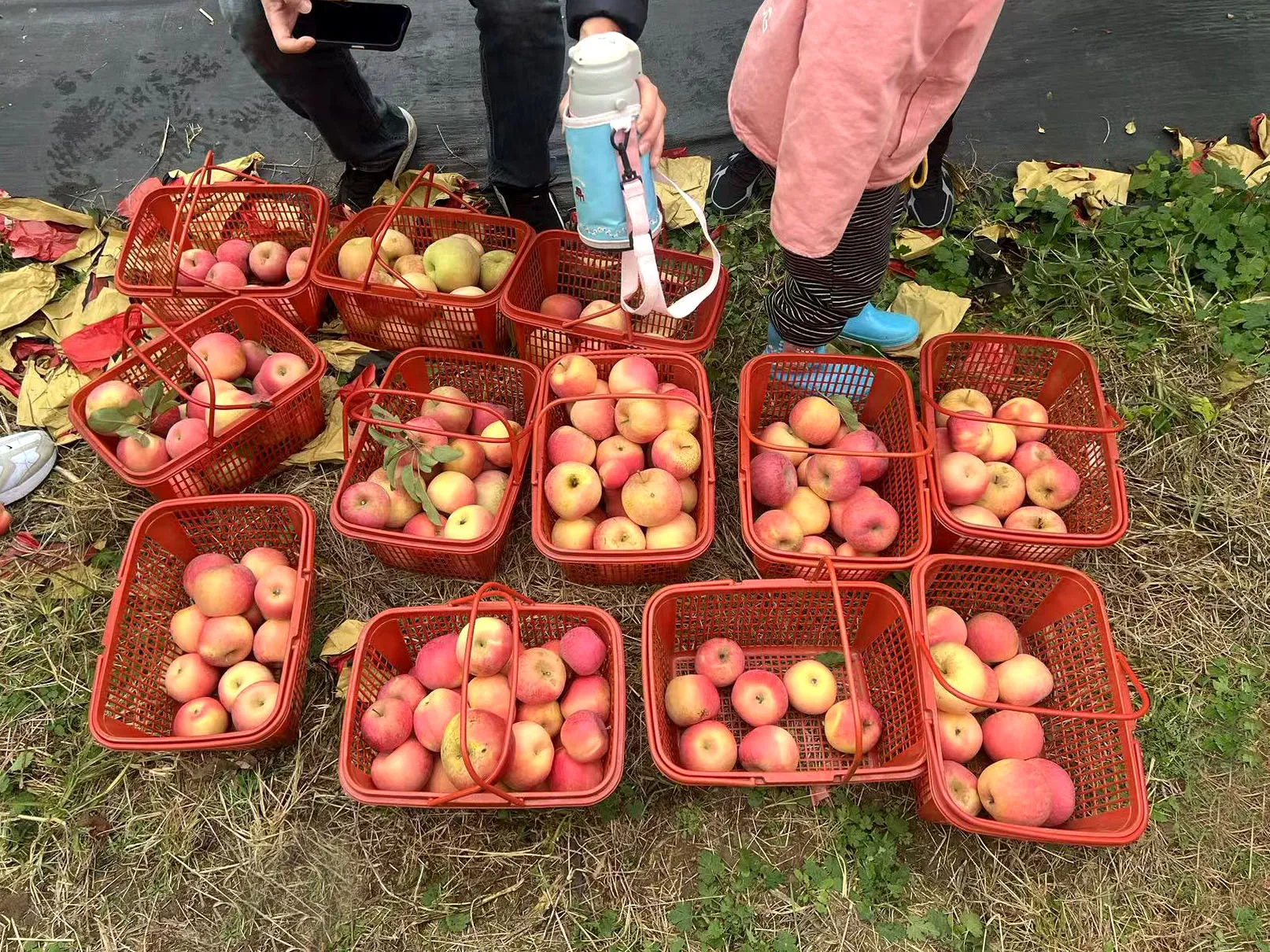 A Fruity Tour Of Group Building