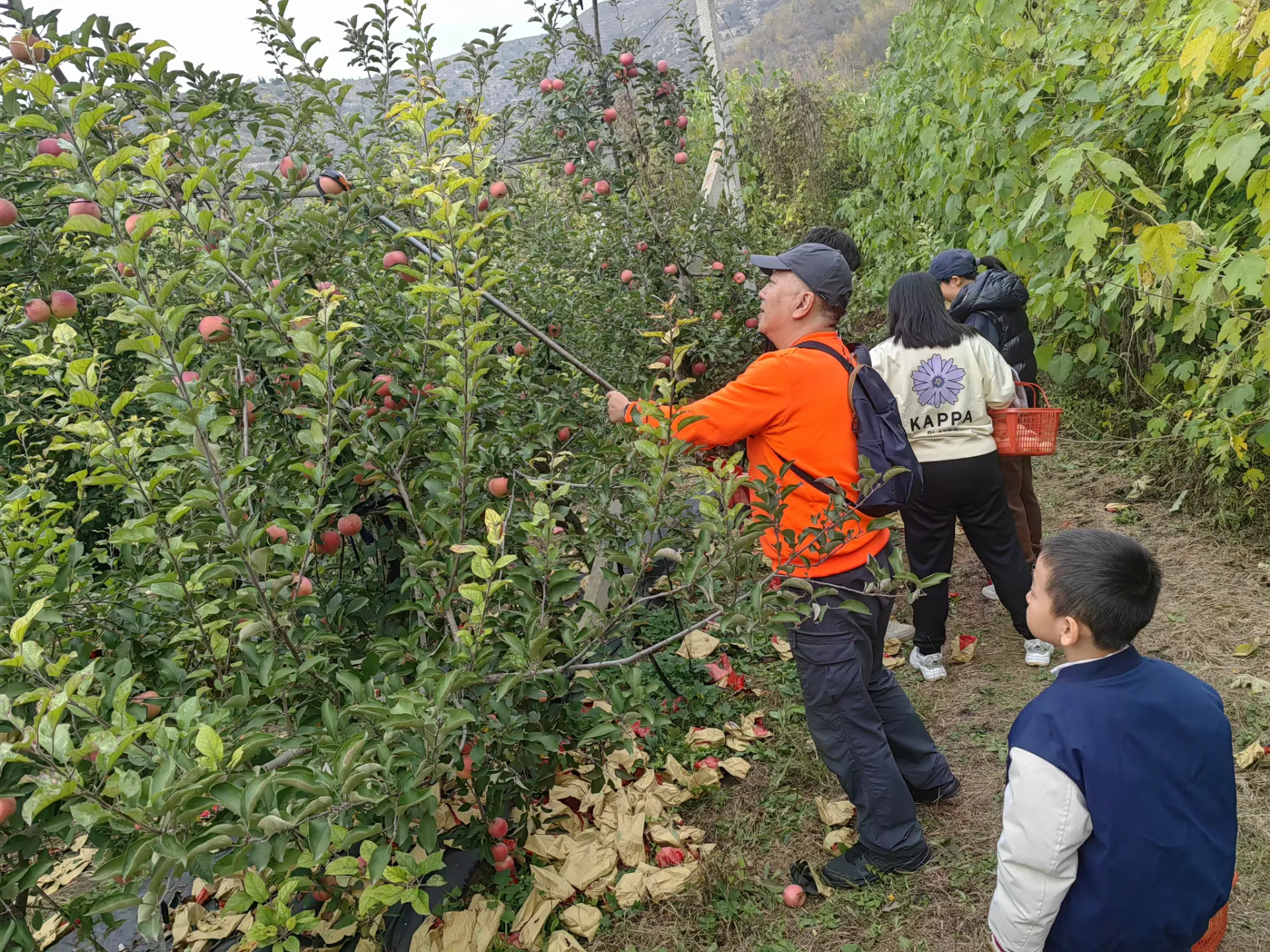 A Fruity Tour Of Group Building