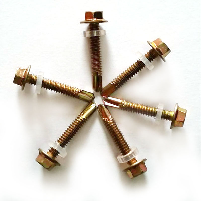 Assorted Stainless Steel Screws – Rustproof, Mixed Sizes