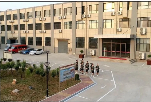 Fire Beater Implement For Forest Fire Management