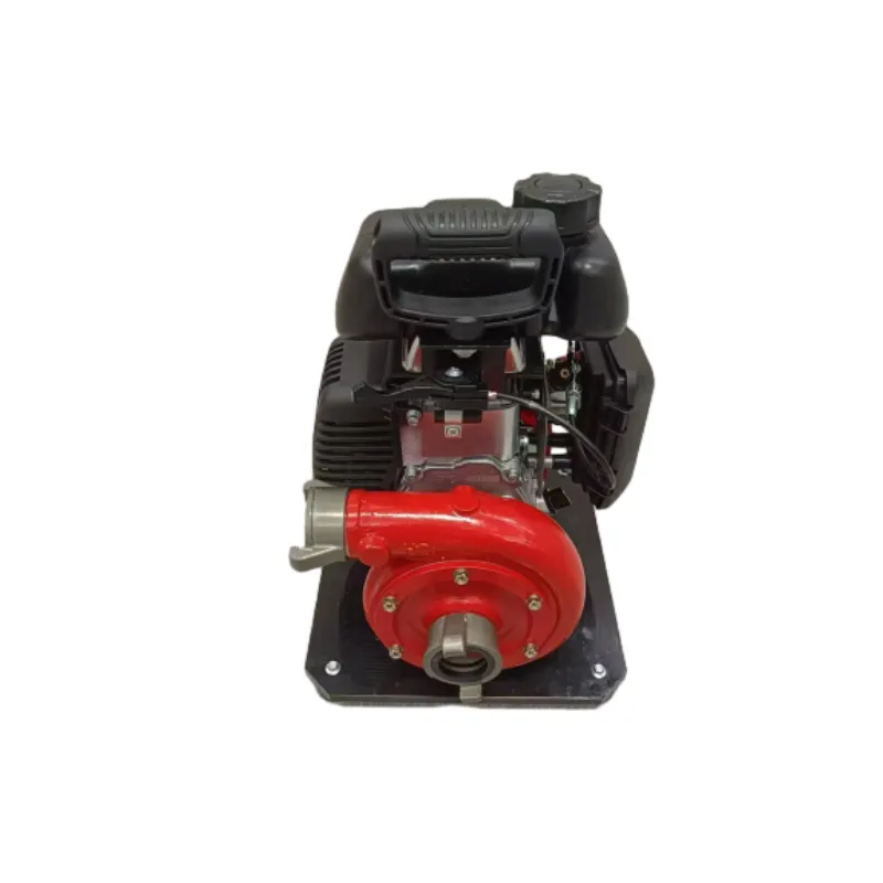 Mini Lightweight Portable Fire Pump—High Pressure?