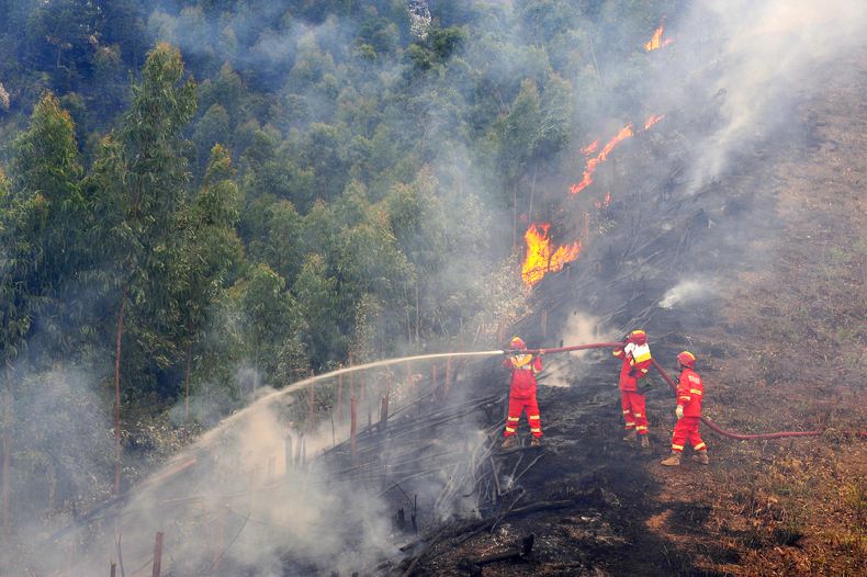 Ultra-Remote High Pressure Fire Water Pump w/ Lighting for Safety5322