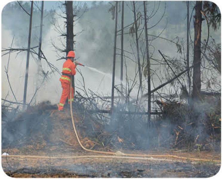 Ultra-Remote High Pressure Fire Water Pump w/ Lighting for Safety5322