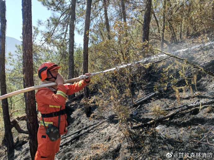 Ganzi forest fire brigade 109 people successfully put out the Jiulong County Xuewa dragon town forest fire!