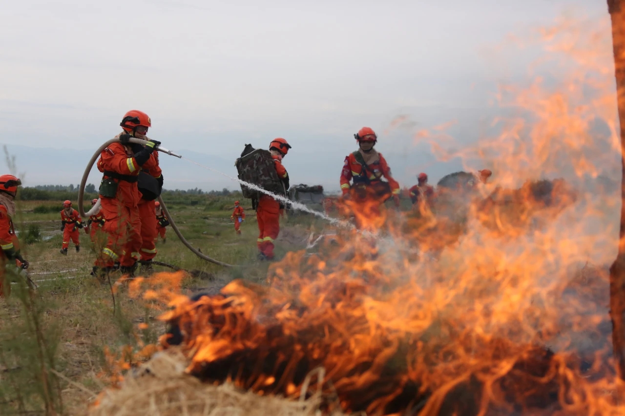 Forest fire rescue strategy
