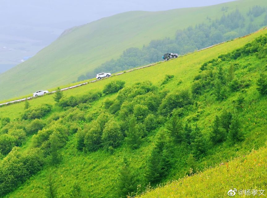 Ecological progress in forests and grasslands has been widely praised by the international community