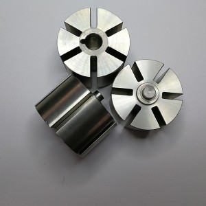 Customized sintered oil pump rotor for germany market