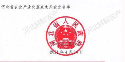 Hebei Provincial government highly praise brand INDIAM popcorn